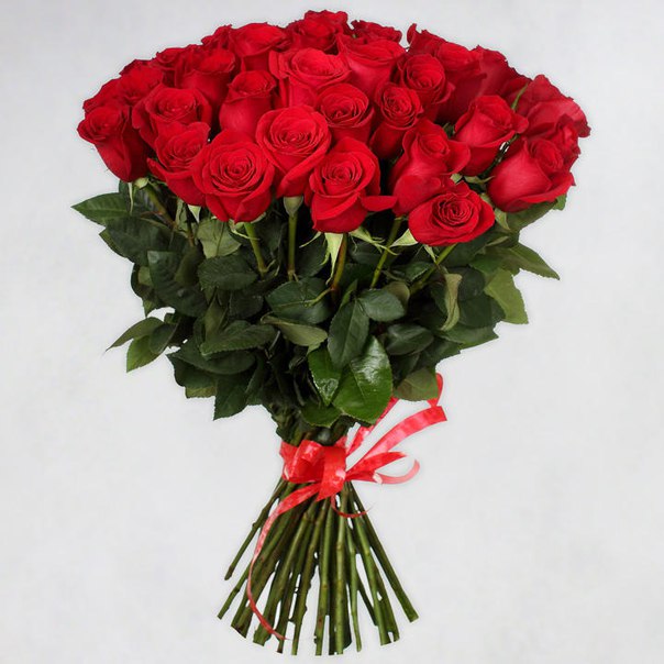 Красные розы высотой 70-80 см